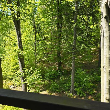 Apartament z pięknym widokiem na las Szklarska Poręba Zewnętrze zdjęcie