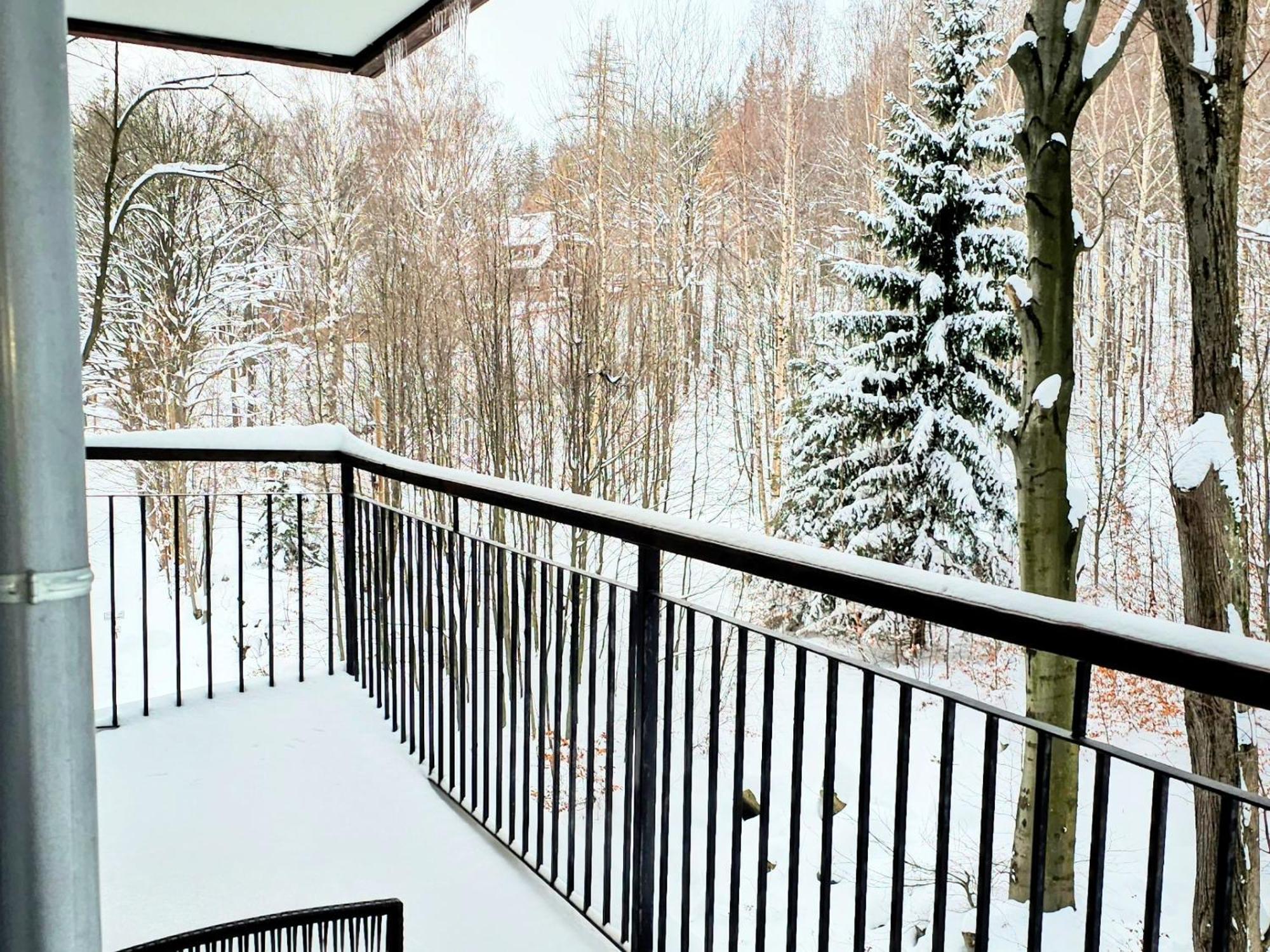 Apartament z pięknym widokiem na las Szklarska Poręba Zewnętrze zdjęcie