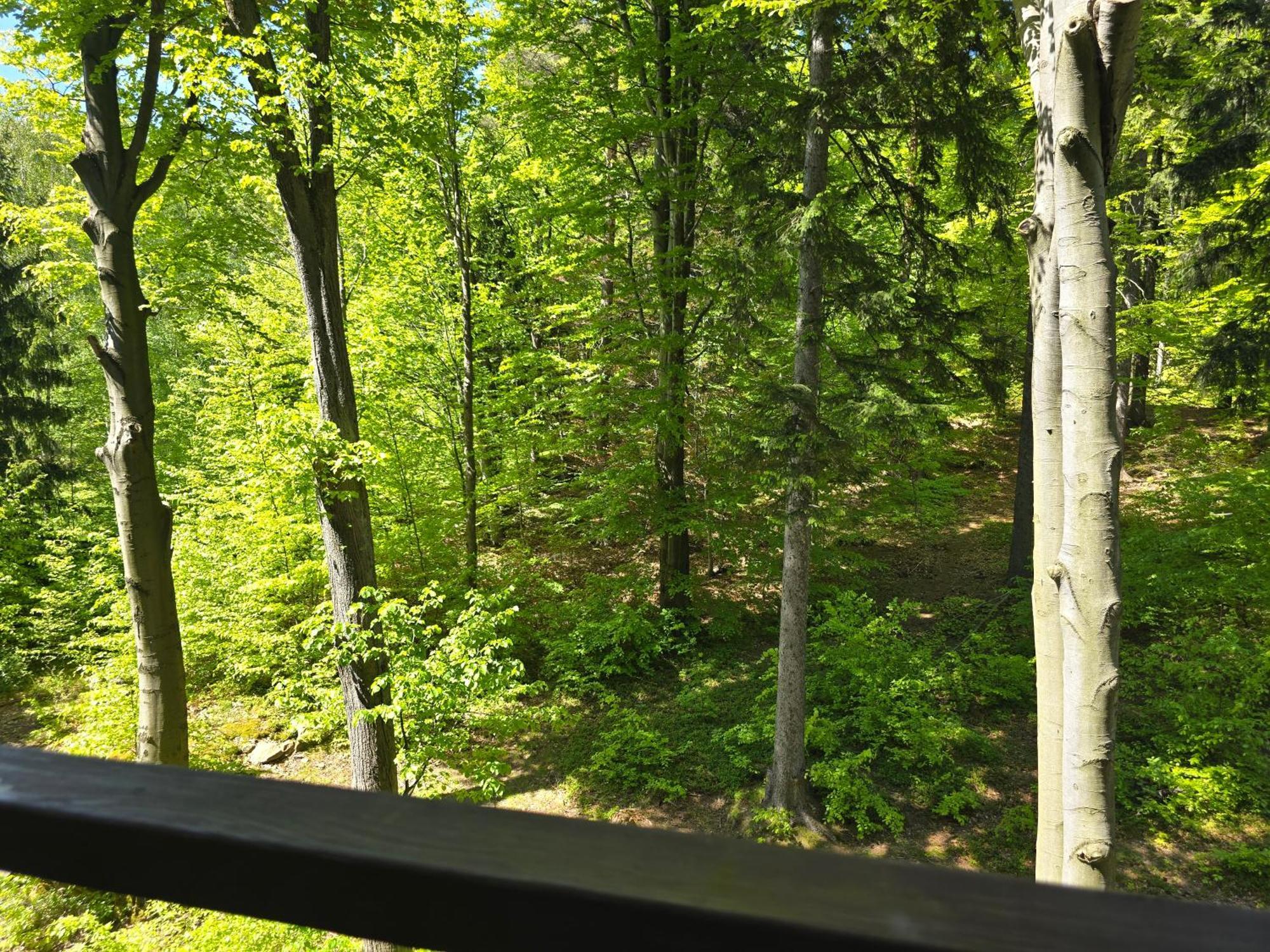 Apartament z pięknym widokiem na las Szklarska Poręba Zewnętrze zdjęcie